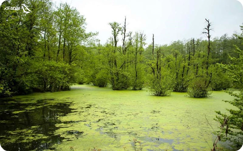 تالاب قادی کلا