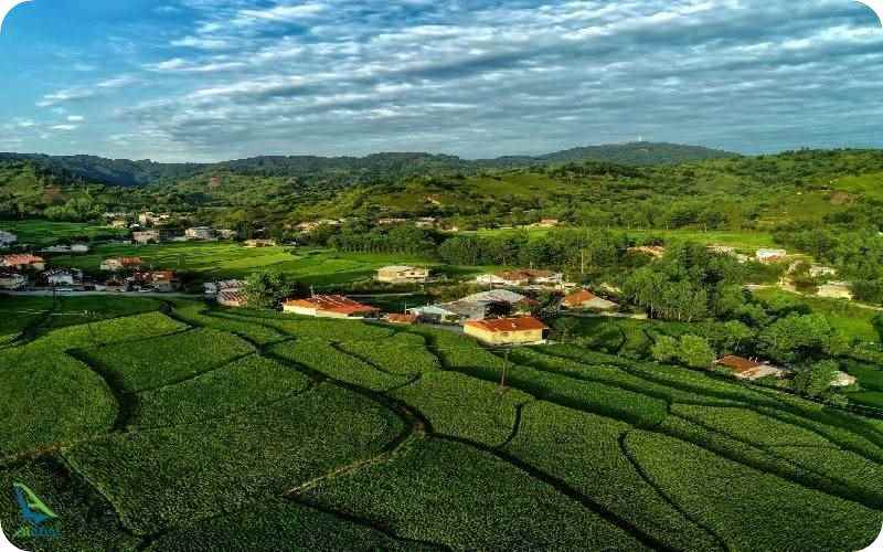 شهر لاهیجان