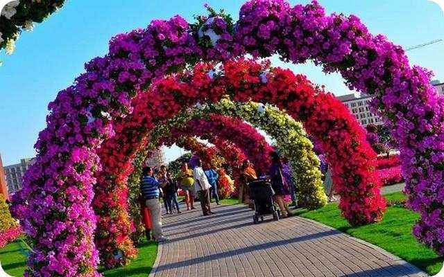 راهرو پوشیده از گل باغ معجزه دبی