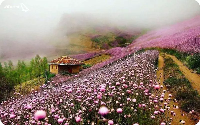 جاده اسالم به خلخال