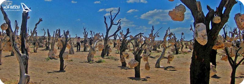 باغ سنگی درویش خان