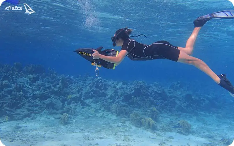 شنا و اسنورکلینگ در جزیره مرجان