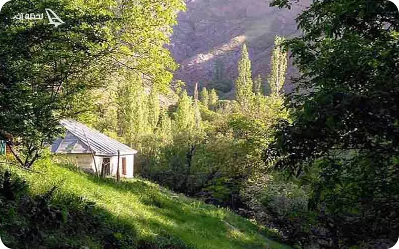 روستای میر