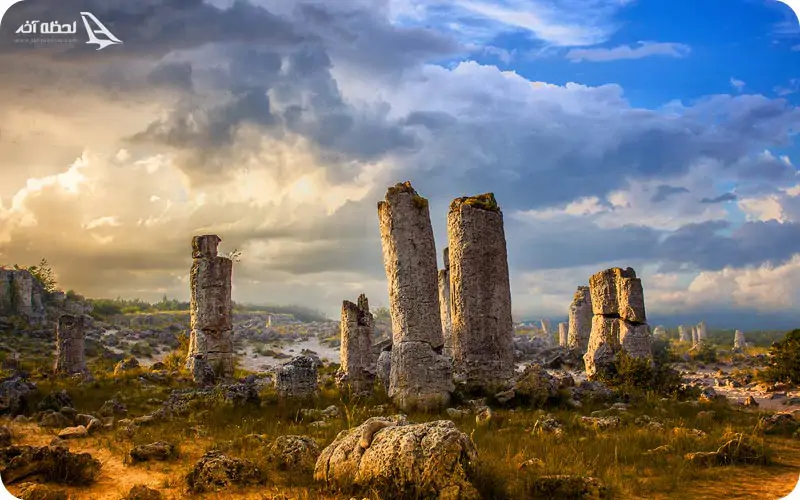 جنگل سنگی وارنا