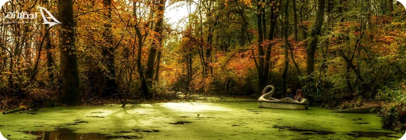 پارک جنگلی سراوان