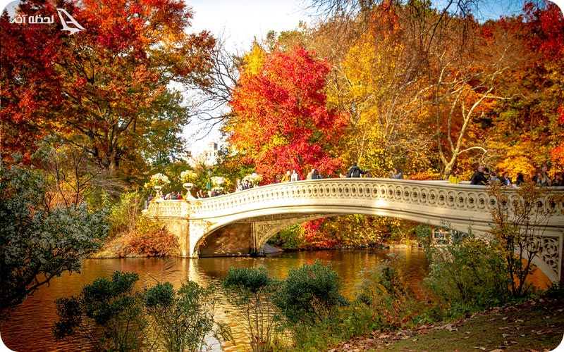 زیبایی پاییز 