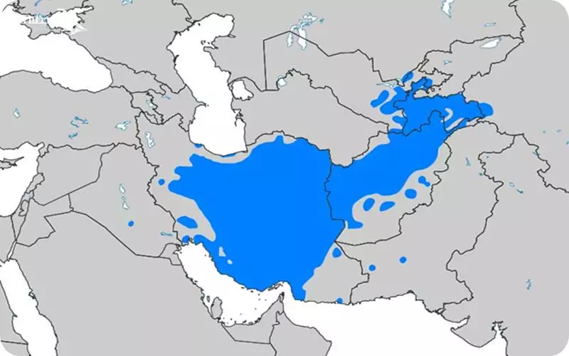 کشورهای فارسی زبان
