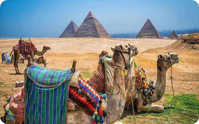 آب و هوای مصر