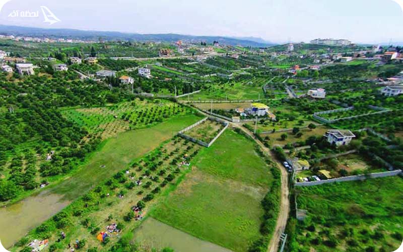 قائمشهر در کدام استان است