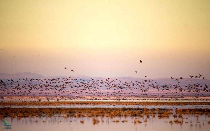 تالاب میقان