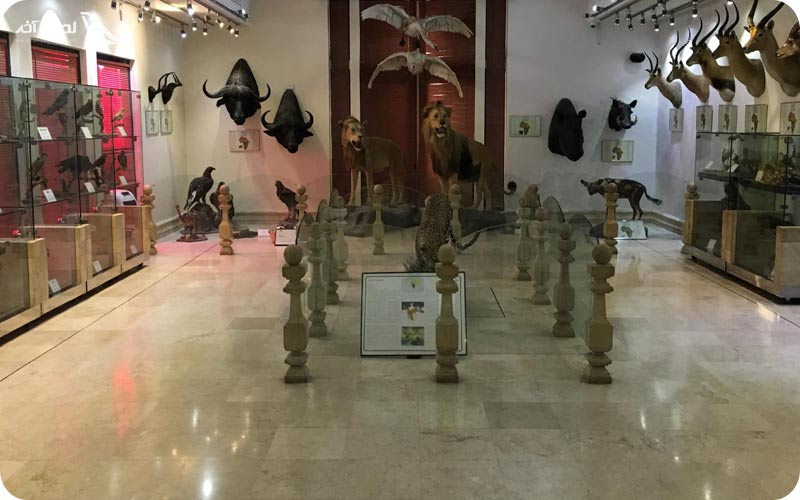 تصاویر داخل موزه دارآباد