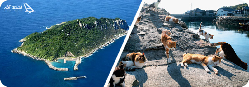 اوکینوشیما