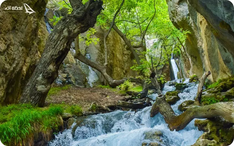 طبیعت لردگان