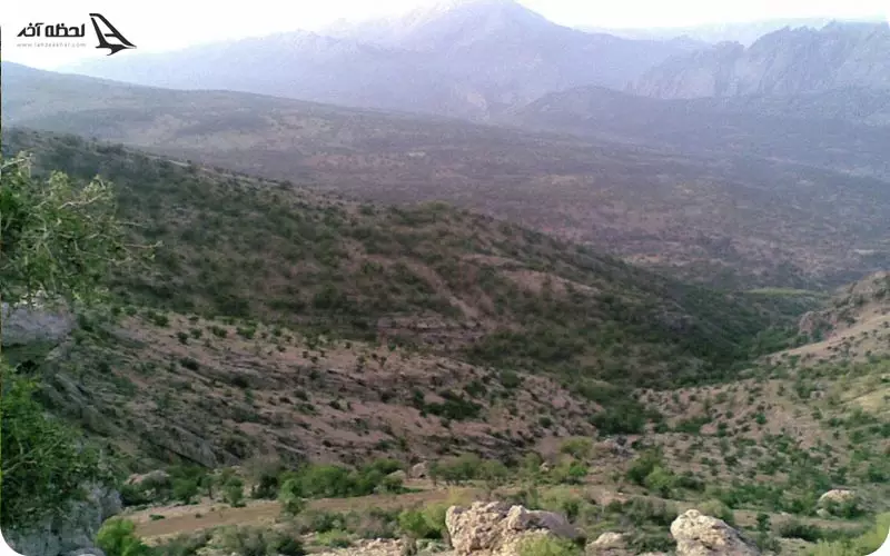 کوه سیوک