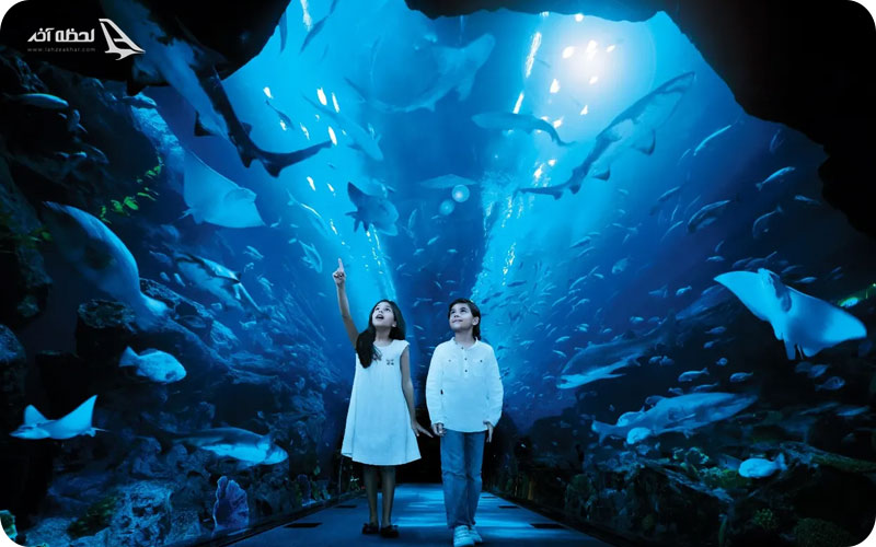 آکواریوم دبی کجاست