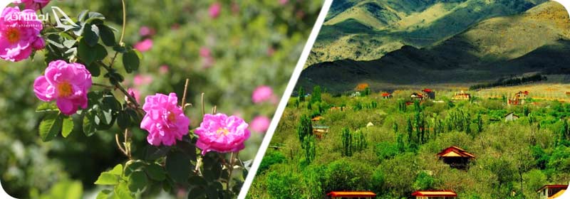 عکس قمصر کاشان