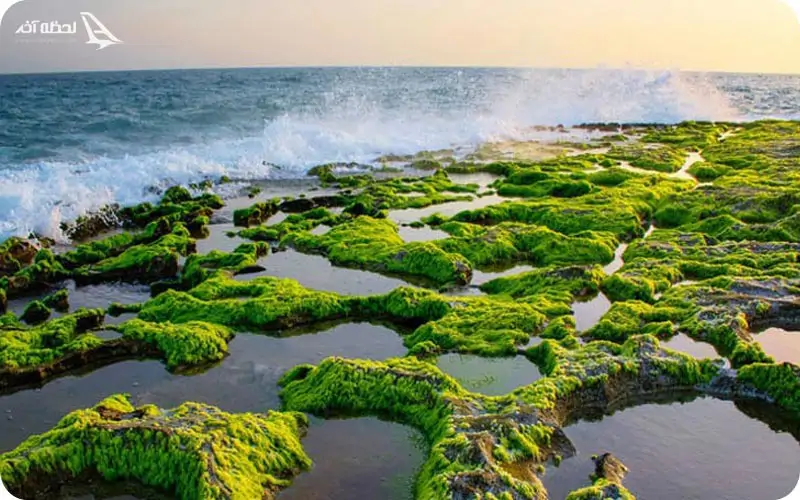 چگونه به منطقه آزاد چابهار سفر کنیم؟