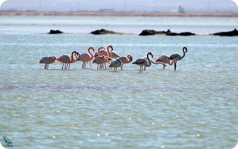 تالاب میقان