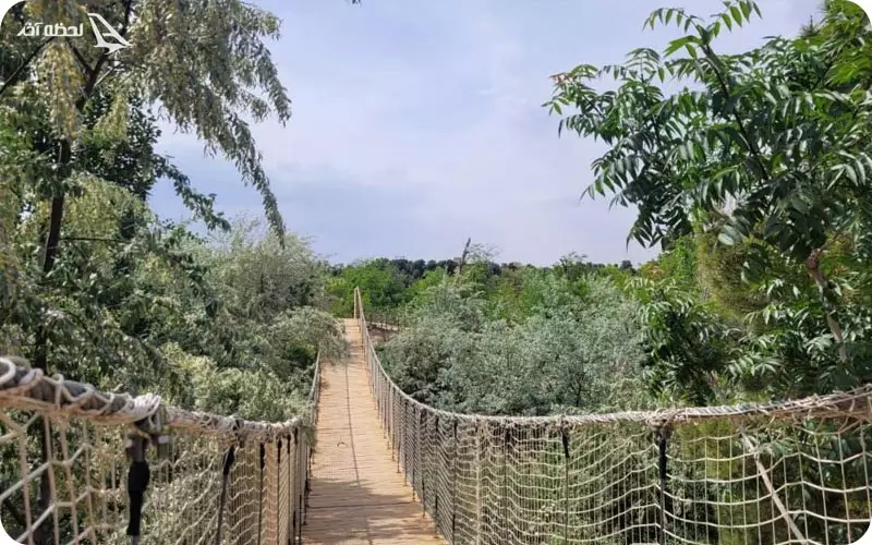 پل پارک ژوراسیک