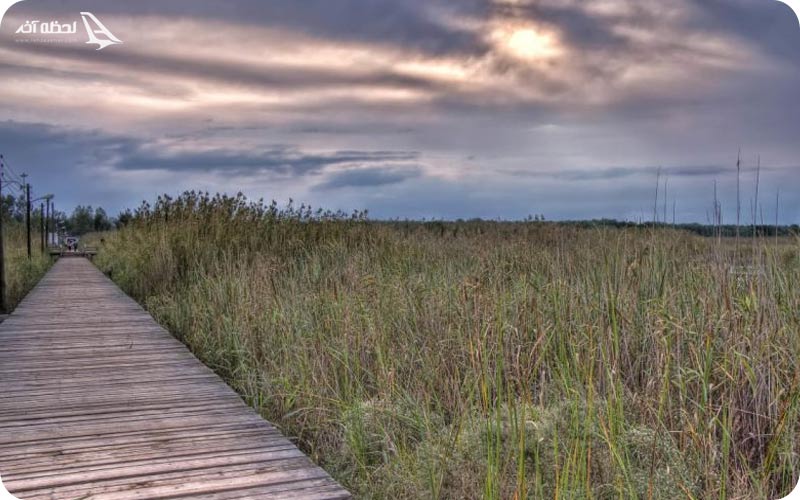 پل چوبی کیاشهر