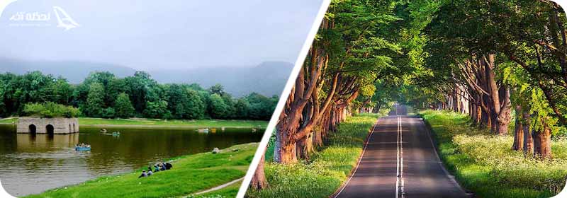 جنگل شصت کلا