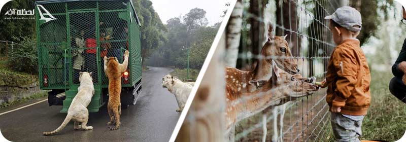 عکس بزرگترین باغ های دنیا