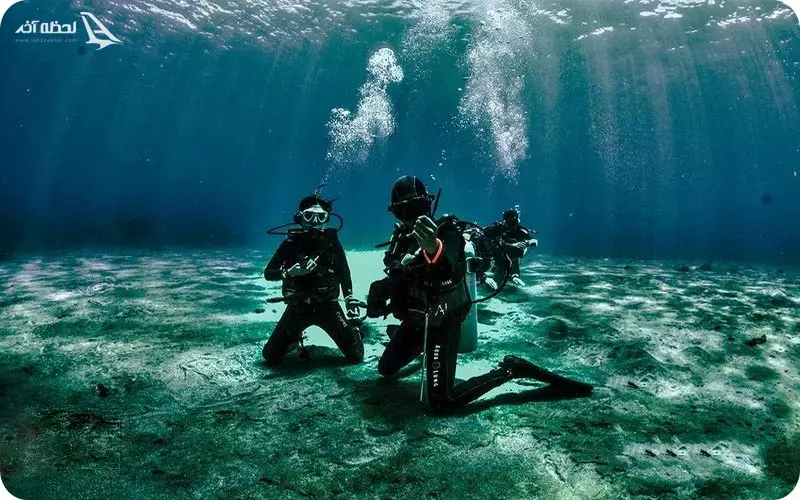 تجربه غواصی در دلفین مرجان قشم