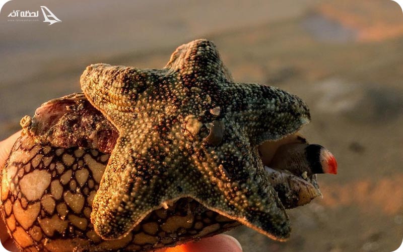 نکاتی که باید در جزیره هنگام رعایت کنیم