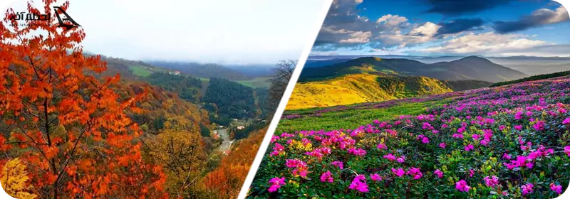زیبایی دره گلها در پاییز و تابستان