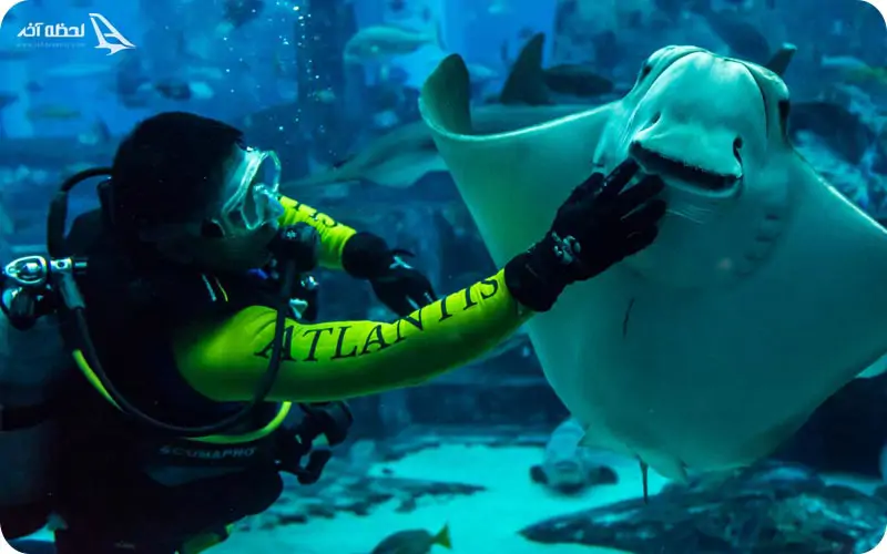 غواصی در دبی مال