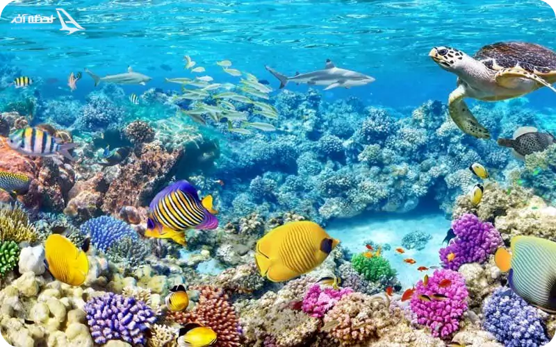 جزیره هنگام