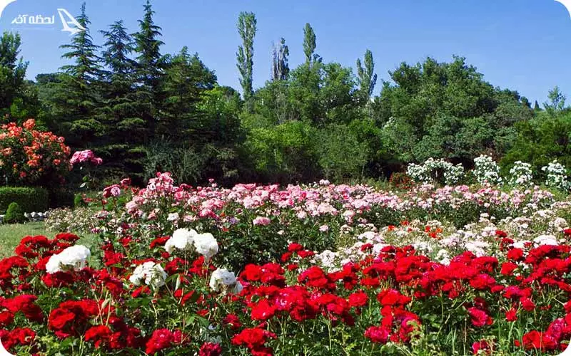 باغ گیاه شناسی