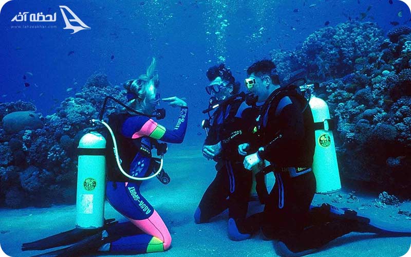 کلوپ های غواصی در کیش