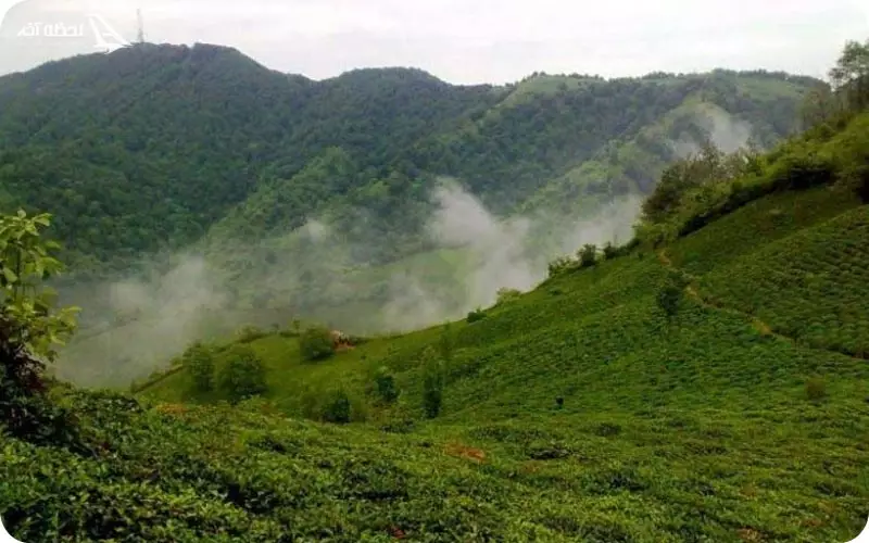 چمخاله