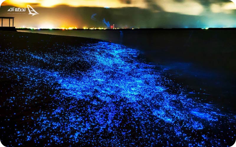 ساحل شب تاب