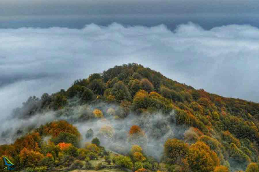 آب و هوای جنگل الیمستان