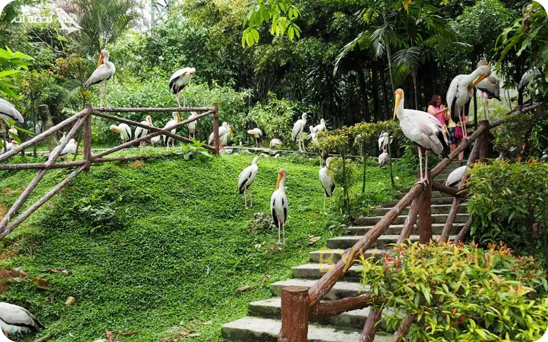 باغ پرندگان کوالالامپور