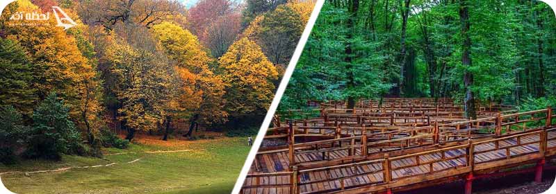 پارک جنگلی آلنگدره