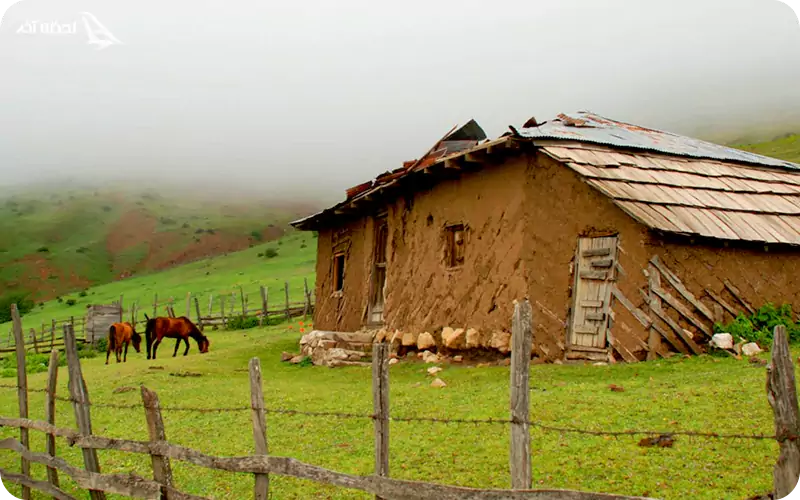 ییلاق اسپی دشت