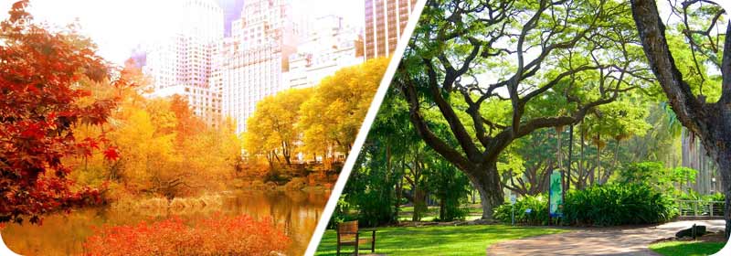 آب و هوای ترکبه در زمستان