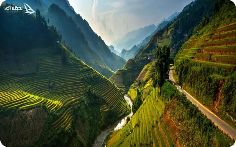 مزرعه های برنج