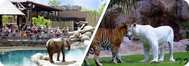 بزرگترین باغ وحش های جهان