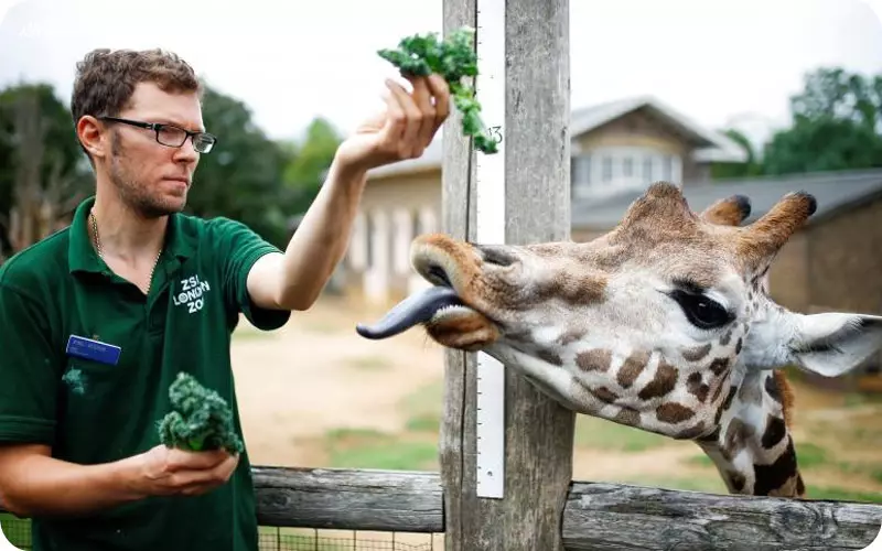 باغ وحش تفلیس گرجستان