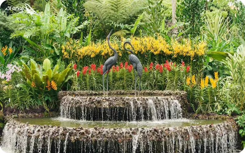 باغ گیاه شناسی باتومی