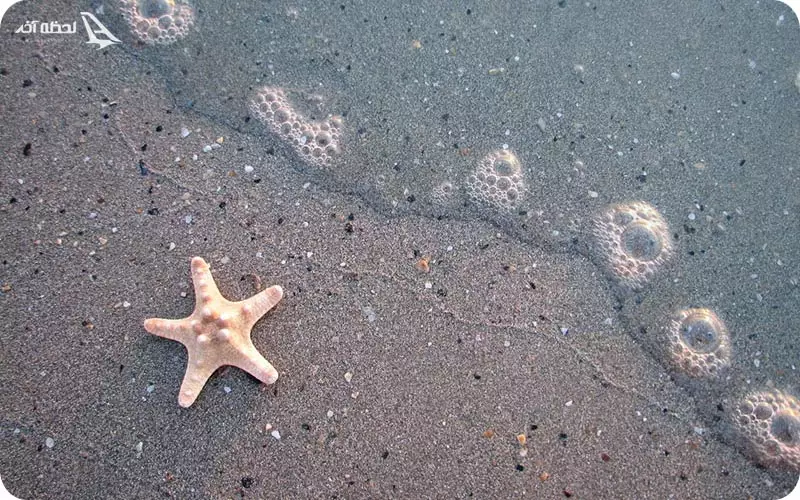 تجهیزات مورد نیاز در سفر به ساحل نقره‌ای