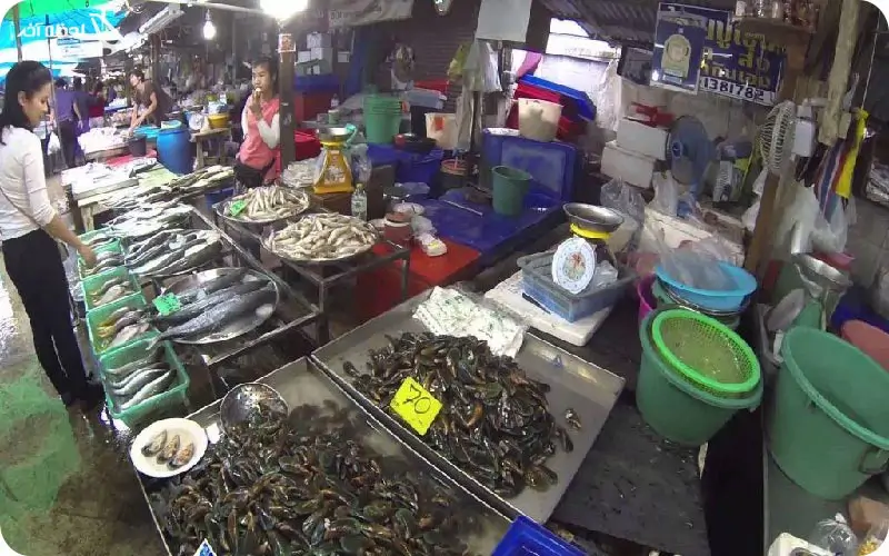 جاهای دیدنی پاتایا