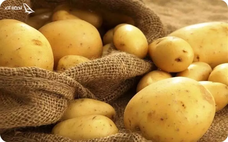 سیب زمینی فرانسه