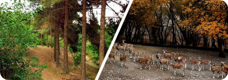 بوستان چیتگر تهران