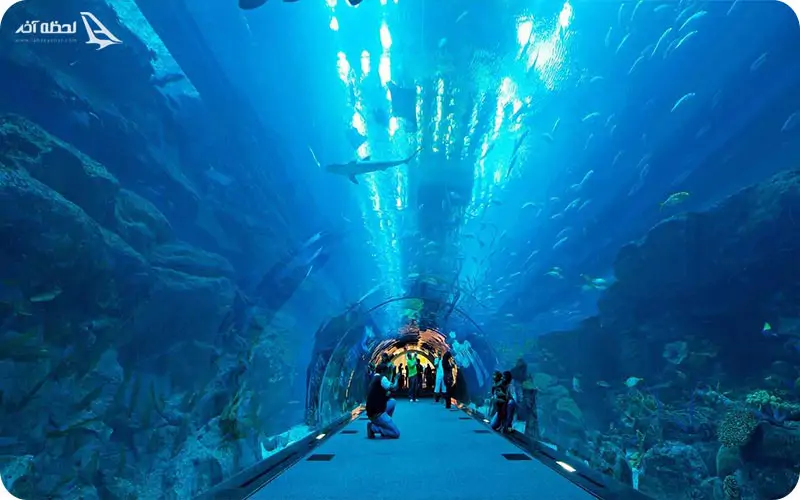 آکواریوم دبی با بیش از ۱۴۰ گونه دریایی