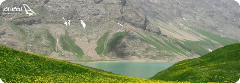 ماهی قزل آلای خالدار قرمز